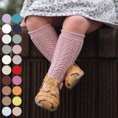�C�� condor �q�� 8.5�`13cm �p�[�� �I�[�v�����[�N �j�[�\�b�N�X �J���[1 �i �R���h�� �q�ǂ��p�C�� �x�r�[ �L�b�Y �\�b�N�X ���� ��
