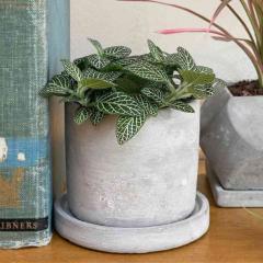 �v�����^�[ �A�ؔ� �Z�����g�|�b�g ���E���h �_���g�� DULTON �i �v�����g�|�b�g ���A�� �\�[�T�[�t�� �Z�����g �� �|�b�g ������ ������