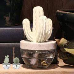 ディフューザー ダルトン DULTON カクタスフレグランスディフューザー サボテン Elegantpeony （ 芳香剤 ルームフレグランス アロマディ