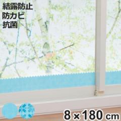 ���I�z���V�[�g 8�~180cm �o�C�I���I�z���e�[�v ���I�΍� �h�J�r �R�� �i ���I�e�[�v ���I�h�~ ���I��� ���L���� ����K���X�Ή� ���w��