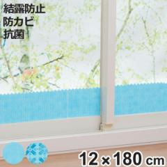 ���I�z���V�[�g 12�~180cm �o�C�I���I�z���e�[�v ���I�΍� �h�J�r �R�� �i ���I�e�[�v ���I�h�~ ���I��� ���L���� ����K���X�Ή� ���w