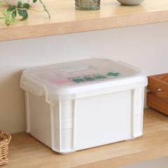 救急箱 薬ケース トレー付き 取っ手付き （ 薬箱 薬入れ くすり整理箱 クスリ くすり プラスチック 仕切り付き 大容量 2段 薬 収納 ボッ