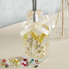 �f�B�t���[�U�[ �A���} �h���C�t�����[ �i ���[���t���O�����X �A���}�f�B�t���[�U�[ �F���� �t���O�����X ���� ���r���O ���� �L�� �X�e