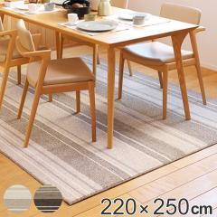���O 220�~250cm ���O�}�b�g ���{�� �_�C�j���O���O �����@�\�t�� �i �J�[�y�b�g �O�~ �}�b�g �h�_�j �R�� ���� �h���@�\ �s�D�z�\�� ��