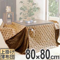 �����z�c �n�C�^�C�v ���|���z�c �g���^ 80cm�p�p �i �R�^�c�z�c ������ �z�c �����` �����ԂƂ� �x���z�c �R�^�c �x�� �ӂƂ� �|��
