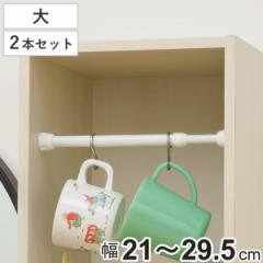 つっぱり棒 突ぱりすき間ポール 大 取付幅：21～29.5cm 2本セット （ 突っ張り棒 すきま収納 縦 横 隙間収納 耐荷重2kg つっぱり すき間 