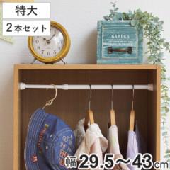 つっぱり棒 突ぱりすき間ポール 特大 取付幅：29.5～43cm 2本セット （ 突っ張り棒 すきま収納 縦 横 隙間収納 耐荷重2kg つっぱり すき
