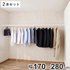 突っ張り棒 取付幅：170～280cm 特大 ハイカム超極太ポール 超強力 2本セット （ つっぱり棒 突っ張り つっぱり 棒 突っ張りポール つっ