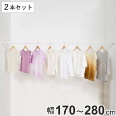 突っ張り棒 取付幅：170～280cm 特大 突ぱりパワフルポール 白 強力 2本セット （ つっぱり棒 突っ張りポール 伸縮棒 洗濯 室内干し 隙間