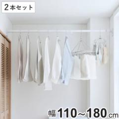 突っ張り棒 取付幅 110～180cm M 簡単設置 極太ポール 2本セット （ つっぱり棒 突っ張り つっぱり 棒 突っ張りポール つっぱりポール 強