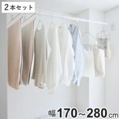 突っ張り棒 取付幅：170～280cm L 簡単設置 極太ポール 2本セット （ つっぱり棒 突っ張り つっぱり 棒 突っ張りポール つっぱりポール 