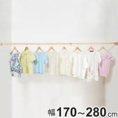 突っ張り棒 ニュー突ぱり強力ポール 特大 170～280cm （ つっぱり棒 突っ張り つっぱり 棒 頑丈 固定 洗濯物 ポール 突っ張りポール つっ
