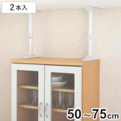 家具転倒防止 つっぱり棒 耐震ポール Lサイズ 50cm～75cm 伸縮 （ 突っ張り棒 つっぱり 地震ポール 震災 地震対策 防災 賃貸 工具不要 強