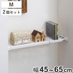 つっぱり棚 突ぱりフラットスリム棚 約幅12cm M 取付幅：45～65cm 2個セット （ 突っ張り収納 収納ラック 突っ張り棚 伸縮 棚 スリム 浅