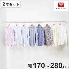 �˂�����_ ��t���F170�`280cm L ���� �X�e�����X�|�[�� 2�{�Z�b�g �i ���ς�_ �˂����� ���ς� �_ ��� �Œ� ���� �X�e�����X 