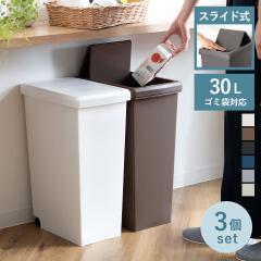 �S�~�� 30L ���F3�Z�b�g �X���C�h�y�[�� ���n �i ���ݔ� 30���b�g�� �X���C�h �W�� �v���X�`�b�N �L���X�^�[ 2�Z�b�g �_�X�g�{�b�N