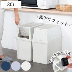 �S�~�� 30L �X���� �ςݏd�� �i ���ݔ� 30���b�g�� ���� ��28 �ӂ��t�� �L�b�`�� �_�X�g�{�b�N�X �X�^�b�L���O �t�����g �v�b�V�� �ӂ��t