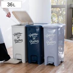 �S�~�� 36L �y�_���y�[�� �A�[�X�J���[ �i ���ݔ� 36���b�g�� ��25 ���� �y�_���� �_�X�g�{�b�N�X �ӂ��t�� �W�t�� ���݊W �y�_�� �y�_��