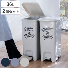 �S�~�� 36L ���F2�Z�b�g �y�_���y�[�� �A�[�X�J���[ �i ���ݔ� 36���b�g�� ��25 ���� �y�_���� �_�X�g�{�b�N�X �ӂ��t�� �W�t�� ���݊W