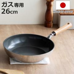 �t���C�p�� 26cm �K�X�ΐ�p �Z���~�b�N�R�[�g �Z�������L���X�g�O���[�� ���{�� �i �A���~�t���C�p�� �Z���~�b�N���H �y�� 26�Z���` �A