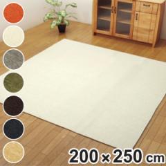 ラグ 洗える シェニール織 無地 モデルノ 約200×250cm 滑り止め付き （ カーペット 絨毯 マット ラグマット 長方形 シェニール織り 薄型