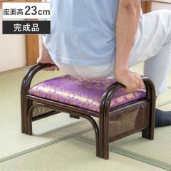 ���^�����֎q ���ʍ�23cm ���E���� �� ���d�p �i ���֎q ���O �C�X ���^�� �� �֎q ���E���n ��49cm �����i ���[�^�C�v ���O�p ���d �a��