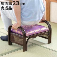 ���^�����֎q ���ʍ�23cm ���E���� �� ���d�p �i ���֎q ���O �C�X ���^�� �� �֎q ���E���n ��49cm �����i ���[�^�C�v ���O�p ���d �a��