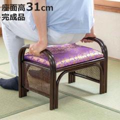 ���^�����֎q ���ʍ�31cm ���E���� �� ���d�p �i ���֎q ���O �C�X ���^�� �� �֎q ���E���n ��49cm �����i �n�C�^�C�v ���O�p ���d �a��