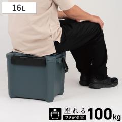 �N�[���[�{�b�N�X 16L COREFLUX ����� �ω׏d100kg �i �ۗ� �N�[���[BOX �ۗ�{�b�N�X �N�[���[�o�b�O �①�{�b�N�X 16���b�g�� �N�[��