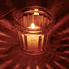 �L�����h���z���_�[ �L�����h���O���X �K���X�� �t���[�e�B�b�h�O���X �i �L�����h���X�^���h �낤�������� �A���} ���� �L�����h�� ���[
