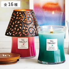 �A���}�L�����h�� �E�b�h�E�B�b�N WoodWick �W���[M �V�F�[�h�t�� �i �A���} �L�����h�� �M�t�g �\�C���b�N�X �W�t�� ������� ���� �ؐc
