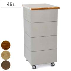 �S�~�� 45L CUBOID �V���O�� �X�e�����X+�V�R���C �W �i KENNER ���ݔ� 45���b�g�� papperskorg ��e�� ���� �ӂ��t�� ���� ������� �C