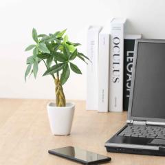 �l�H�ϗt�A�� �p�L�� 27cm �ϗt�A�� ���� ���G�} �i �~�j ��� �t�F�C�N�O���[�� �l�H�A�� �t�F�C�N �A�[�g�O���[�� �G�}���H �R�� ���L 