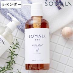 {fB\[v SOMALI x_[ 500ml i ΂ {fBEHbV Y {fBVv[ t̐΂ ɗD Ƃ 