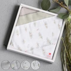 �K�[�[ Lien de famille �R�� �Z�b�g ���{�� �i �K�[�[�n���J�` �K�[�[�^�I�� 24cm �x�r�[ �Ԃ���� �M�t�g �v���[���g ���̎q �j�̎q ��