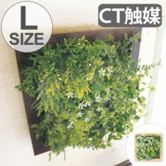 lHϗtA PRERIE ARTIFICIAL GREEN L i  tFCNO[ CeAt[ A[gt[ lH tFCN ϗtA A CT