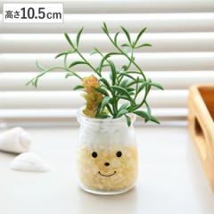フェイクグリーン 人工観葉植物 ファミーユ 消臭アーティフィシャルグリーン ジャック （ 造花 人工植物 観葉植物 人工 植物 多肉植物 リ