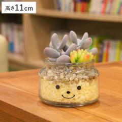 フェイクグリーン 人工観葉植物 ファミーユ 消臭アーティフィシャルグリーン リリー （ 造花 人工植物 観葉植物 人工 植物 多肉植物 リア