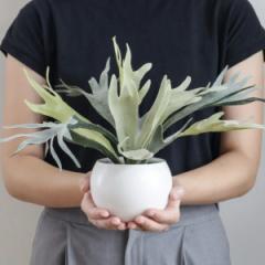 フェイクグリーン ビカクシダ エクリア ハンギング （ 人工観葉植物 インテリアグリーン 観葉植物 おしゃれ 造花 リアル 室内 消臭 抗菌 