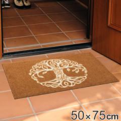 փ}bg 50~75cm  6mm p wash{dry Tree of Life Brown i O  p ^ 􂦂 ~ O hA}bg Lb`