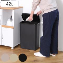 �S�~�� 42L ���J�� SIMPLE DUST BOX �i ���ݔ� 42���b�g�� �ӂ��t�� �X���� �L�b�`�� ���� �V���v�� ������� ��e�� �܎~�ߕt�� ������