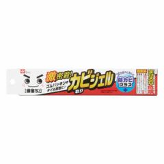 カビ取り ジェル 防カビ カビ取りジェル 洗剤 お風呂 お風呂掃除 （ 掃除 そうじ 清掃 タイル 年末 大掃除 掃除用品 カビ 赤カビ 黒カビ 