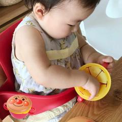 ����P�[�X �A���p���}�� �{�[���J�b�v �Ԃ���� �x�r�[ ���{�� �i ���َq�P�[�X �{�[���P�[�X ���� �����₷�� �e�� �P�[�X �����