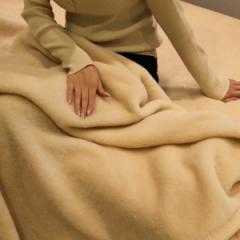 ニューマイヤー毛布 シングル ウール100% 洗濯機OK 洗える 軽量 日本製 （ 毛布 140×200cm ブランケット ウォッシャブル 1kg オーストラ