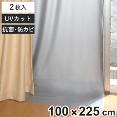 �J�[�e�����C�i�[ �Ռ��^�C�v ��100cm�~��225cm �f�M �ՔM �� �~ ���p �i �f�M�J�[�e�����C�i�[ �ՔM�J�[�e�� �Ռ� UV�J�b�g �ߓd ��[ 