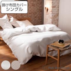 |zcJo[ Fab the Home VO njJ bt 100 i zcJo[ zcJo[ |ӂƂJo[ |Jo[ t@uU