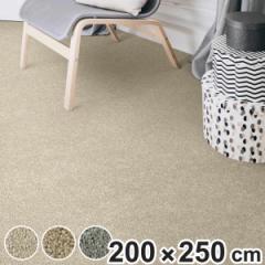 ラグ シャギーラグ スウィートドリーム 200×250cm ホットカーペット対応 （ ラグマット 絨毯 じゅうたん マット長方形 シャギー 床暖対