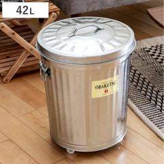 �S�~�� 42L �L���X�^�[�t�� �I�o�P�c OBAKETSU ���O���p �V���o�[ ���ݔ� �g�^�� �O�p �i �ӂ��t�� 42 ���b�g�� �_�X�g�{�b�N�X �~�� �o