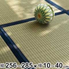 オーダーメイド 畳 国産 ユニット畳 い草 8層 縦256～285×横10～40cm （ サイズオーダー オーダー畳 畳マット オーダー い草ラグ い草カ