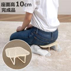���^�� �����֎q ���ʍ�10cm �y�� ������ �ٍ��֎q �i �֎q ���^���`�F�A �V�R�f�� �a�� �@�� ���� �⏕ �R���p�N�g �Ӎ� ���~�֎q �`�F